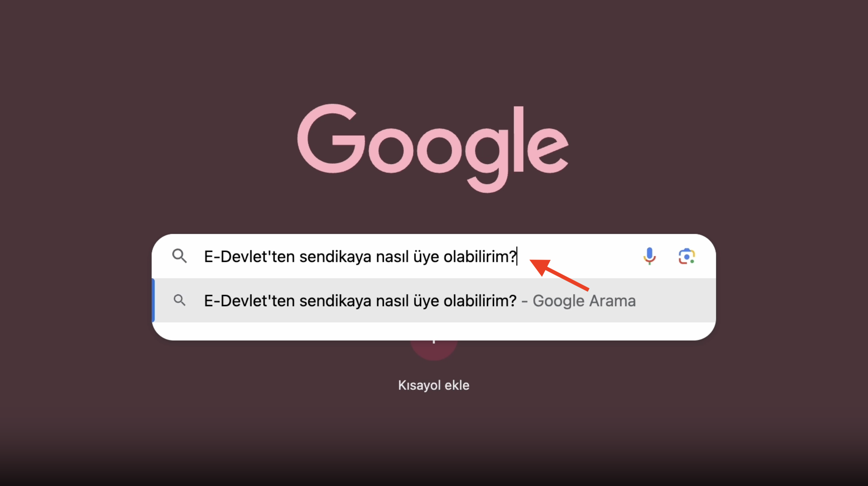 e-Devlet giriş ekranı